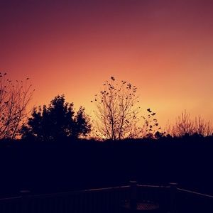 Meet your Posher, Lynn